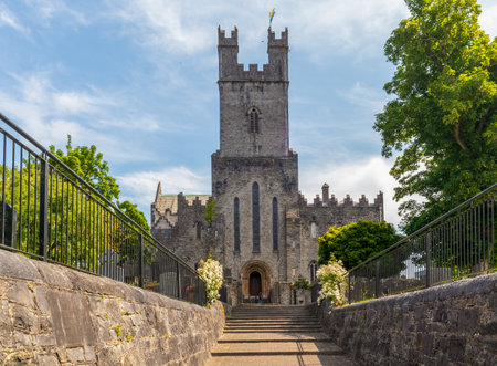 Old St Mary Cathedral in Limerick, Irelandのeditorial素材
