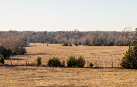 Rural landscape pasture. Texas ranch farmland in wintertime.の写真素材