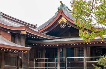 Tokyo, Japan - March 21, 2023: Meiji Jingu, Shinto shrine dedicated to the deified spirits of Emperor Meiji and his wife Empress Shoken in Tokyo, Japanのeditorial素材
