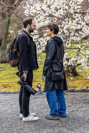 Kyoto, Japan - March 25, 2023: People enjoy cherry blossom (Sakura) in NijÅ Castle, Kyoto, Japanのeditorial素材