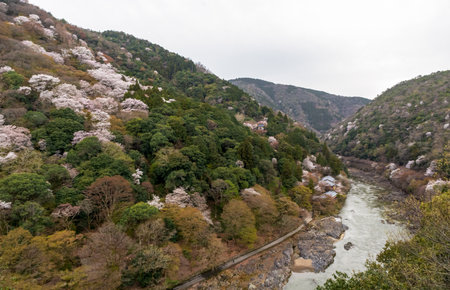 Beautiful Kameyama Park near Katsura River in Arashiyama, Kyoto, Japanの写真素材