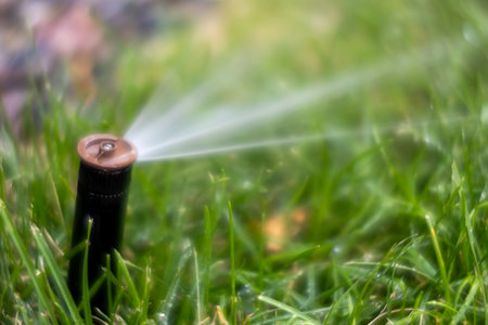 Closeup of an in-ground sprinkler head watering grass in the summerの写真素材