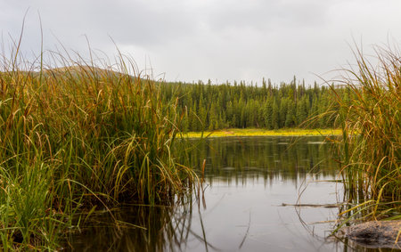 Beautiful Red Rock Lake near Nederland, Coloradoの写真素材