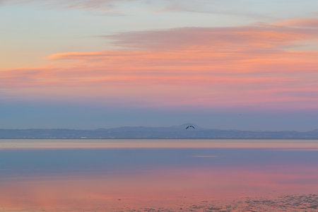 Amazing pink sunset over the bay in Burlingame, Californiaの写真素材