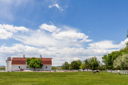 A horse standing behind the fence near the farm building