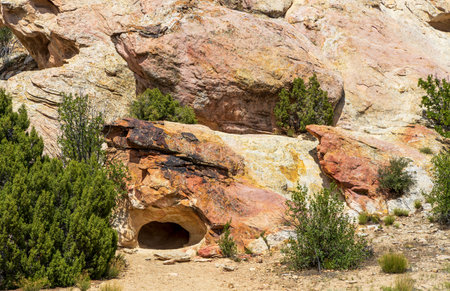 Dinosaur National Monument in Colorado and Utah in the springの写真素材