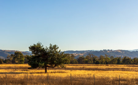 Rural Landscape in California. Countryside of USAの写真素材