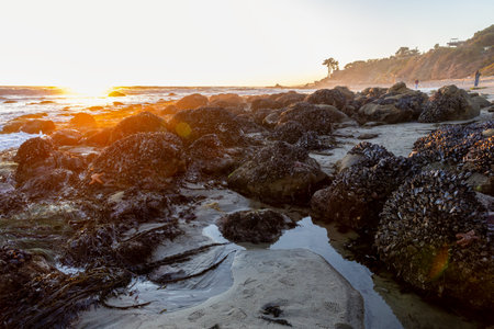 Beautiful sunset over the ocean viewed from  El Pescador State Beach in South California