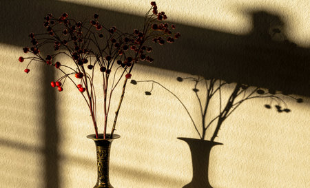 Red viburnum rowan in the black metal vase against the shadowed wallの写真素材