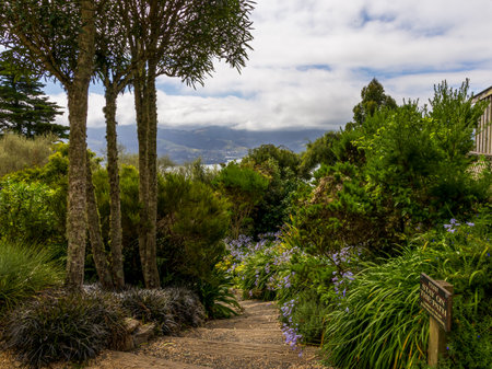 Beautiful Garden of Larnach Castle on a sunny day. Dunedin, New Zealandの写真素材