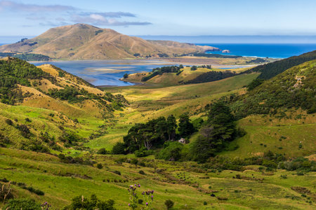Scenic coastal view of Otago Harbor from Otago Peninsula, Dunedin, New Zealandの写真素材