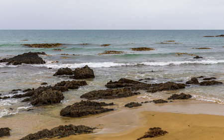 Big waves, huge rocks, and beautiful birds on the Pacific Ocean coast near the Kaka Point. South...