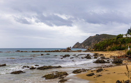 Big waves, huge rocks, and beautiful birds on the Pacific Ocean coast near the Kaka Point. South Island, New Zealandの写真素材