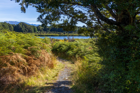 Lake Mistletoe near Highway 94 to Milford Sound in South Island, New Zealandの写真素材