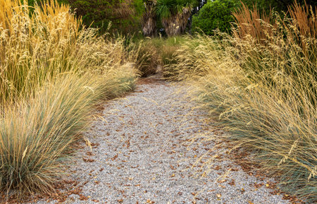 Beautiful flower and herb gardenの写真素材