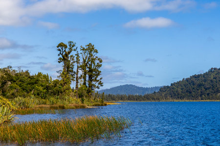 Beautiful Lake Wahapo, West coast, South Island, New Zealandの写真素材