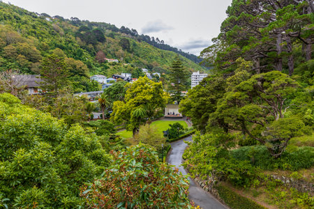 Wellington Botanic Gardens and Carter Observatory in Wellington, New Zealand.の写真素材