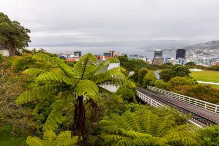 Wellington, New Zealand - March 8, 2025: Cityscape of Wellington capital city of New Zealandの写真素材