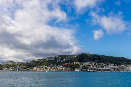 Cityscape of Wellington, the capital city of New Zealandの写真素材