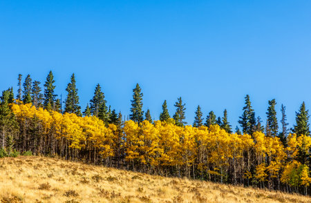 Scenic fall foliage landscape alongside the Highway of Legends National Scenic Byway, going from Walsenburg to Trinidad in Coloradoの写真素材