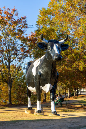 Columbus, Georgia - November 14, 2025: Kadie the Cow, a Holstein statue established in the 1960s on Manchester Expressway in Columbus, Georgia, moved to the Woodruff Riverfront Parのeditorial素材