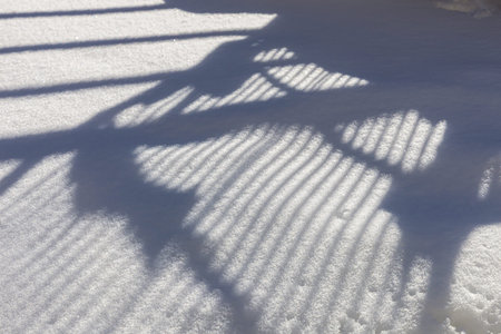 Winter abstract background with white snow surface with snow crystals and striped shadows