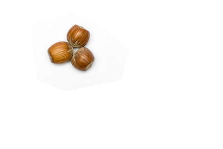 Three hazelnuts in a white backgroundの写真素材