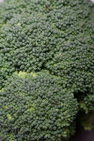 Brocoli close up backgroundof the floral seedsの写真素材
