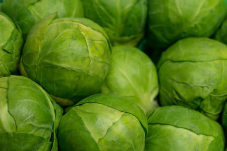 Many raw Brussels sprouts close up backgroundの写真素材