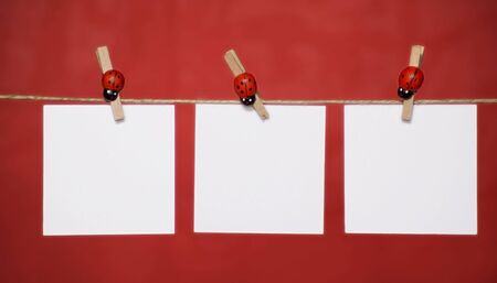 3 blank memo sheets of white paper hanging on the rope. Place for your text.の写真素材