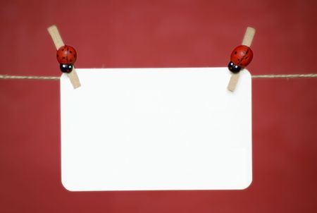 Blank memo sheet of white paper hanging on the rope. Place for your text.の写真素材