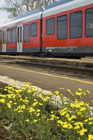 Yellow spring flowers with blurred train at the background