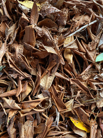 pile of brown dry leaves background textureの写真素材