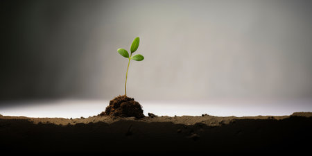 Green seedling cross shaped illustrating concept of new life and growing. Copyspaceの素材