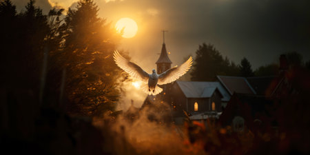 Dove flying over the village at sunset. Selective focusの素材