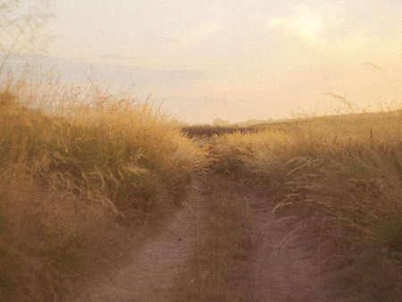 path in the fog