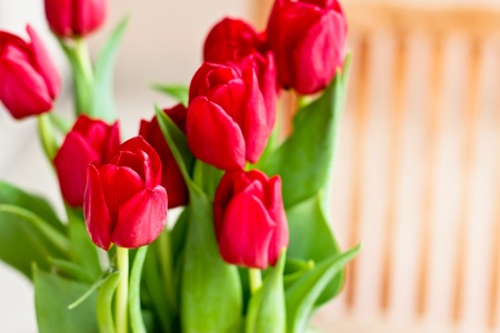 a still-life inspired by home decorationの写真素材