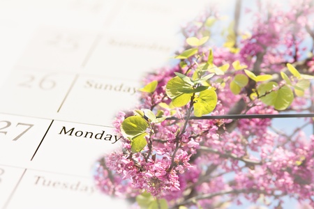 a metaphor of Corporate Social Responsibilityの写真素材