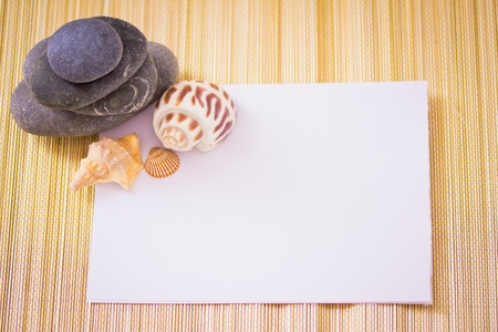 blank card and sea shellsの写真素材