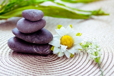 natural beauty care and wellbeing, spa stones and flowersの写真素材