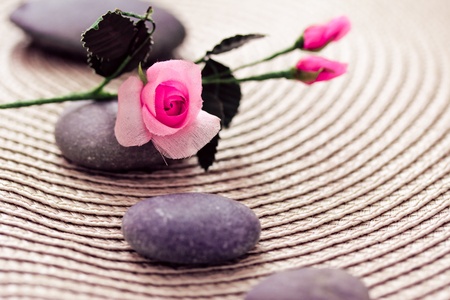 a spa-inspired shot of stones and pink roseのeditorial素材
