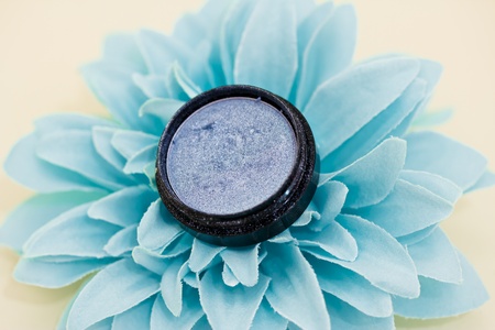 make-up shot of eyeshadow and petalsの写真素材