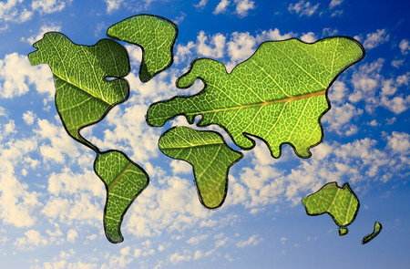 green economy and sustainable deveolpment, green leaves over continentsの写真素材