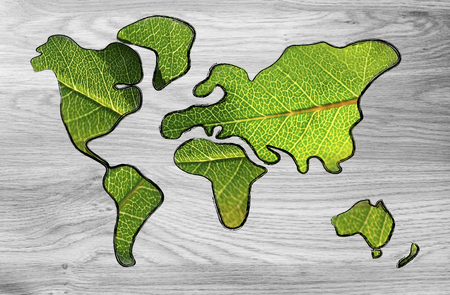 green economy and sustainable deveolpment, green leaves over continentsの写真素材