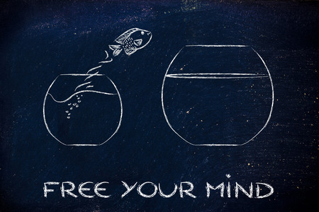 think unconventionally and free your mind, fish jumping into a bigger bowlの写真素材