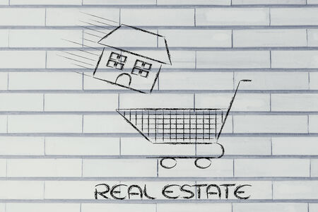 house launched inside shopping cart, concept of buying or moving houseの写真素材