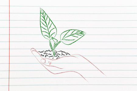 green economy and sustainability: hand holding small plant with newborn leavesの写真素材
