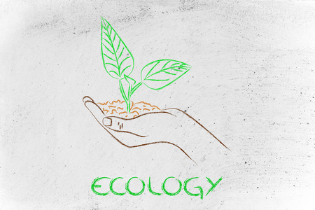 green economy and sustainability: hand holding small plant with newborn leavesの写真素材