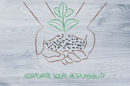 green economy and sustainability: hand holding small plant with newborn leavesの写真素材