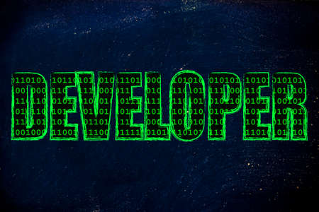 the word Developer with a binary code pattern fill and chalk-like strokes